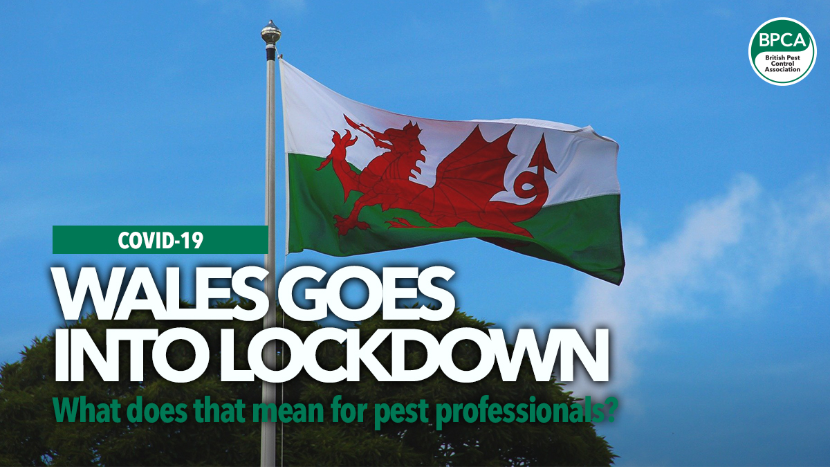 wales-lockdown-covid